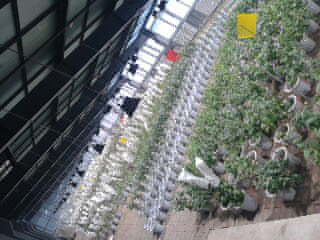 沈阳农业大学实验基地(冷库)